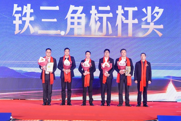 铁三角标杆奖.JPG